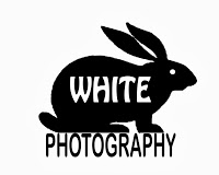 White Rabbit Photography 1098215 Image 1
